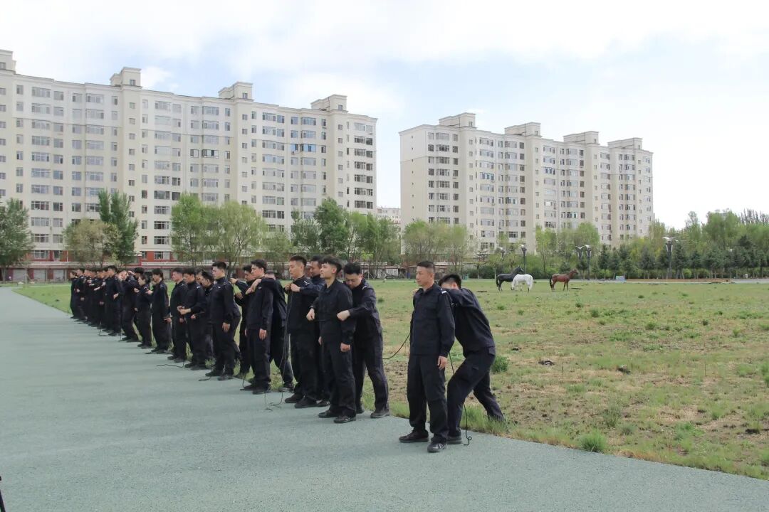微信图片_2026-05-18_145821_441.jpg