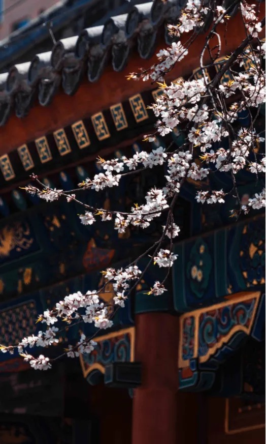 微信图片_2026-05-18_144550_569.webp