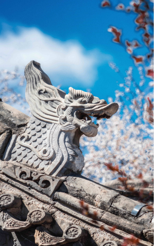 微信图片_2026-05-18_144555_357.png