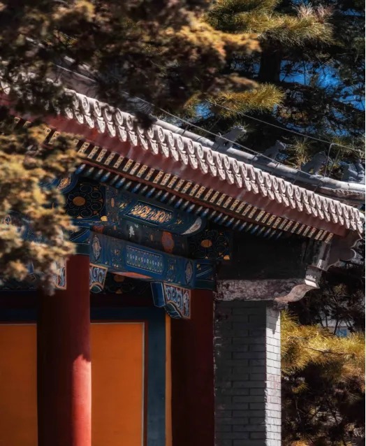 微信图片_2026-05-18_144559_154.webp